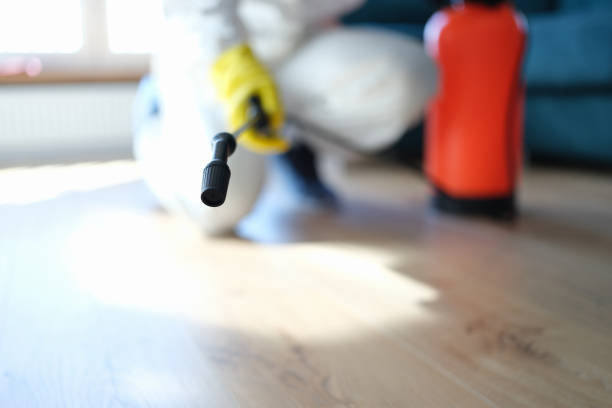 Elk River, MN Mold Removal Company