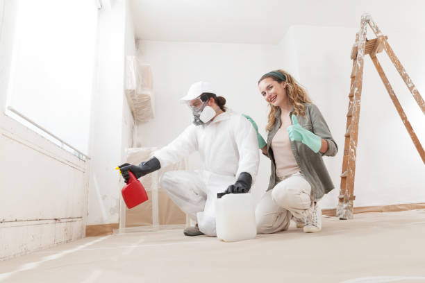 Best Mold Removal for HVAC Installations  in Elk River, MN