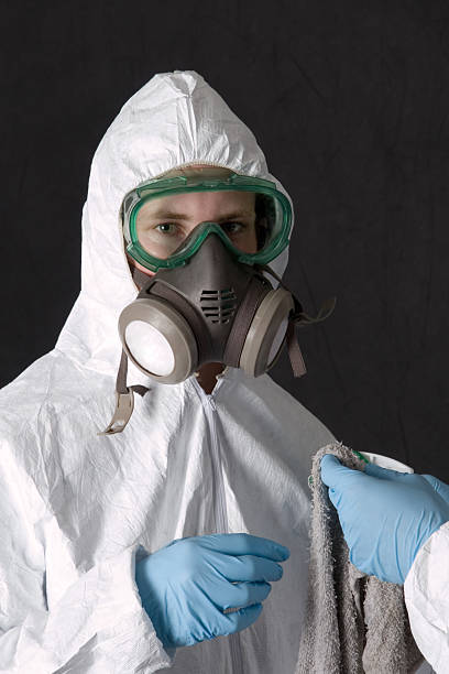 Best Mold Prevention Services  in Elk River, MN